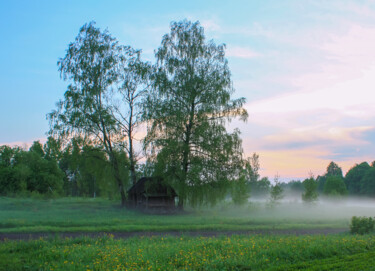 Photographie intitulée "Summer landscape wi…" par Olga Strogonova, Œuvre d'art originale, Photographie numérique