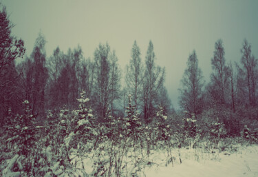 Fotografia intitolato "Winter twilight" da Olga Strogonova, Opera d'arte originale, Fotografia digitale