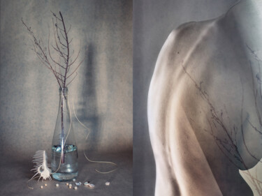 Photographie intitulée "Broken but Beautifu…" par Olga Sukhikh (Lolly Shine), Œuvre d'art originale, Photographie numérique…
