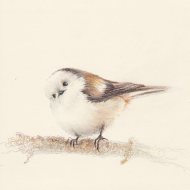 Drawing titled "046 Bird" by Olga Trifonova, Original Artwork, Pencil