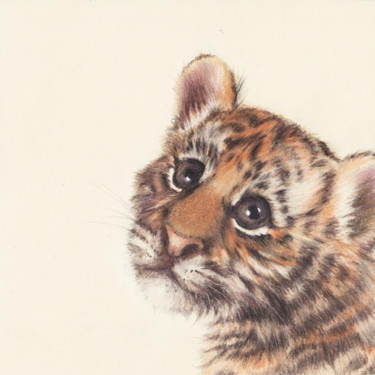 Drawing titled "002 Little tiger" by Olga Trifonova, Original Artwork, Pencil