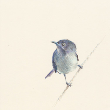 Dessin intitulée "051 Blue bird" par Olga Trifonova, Œuvre d'art originale, Crayon