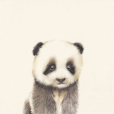 Рисунок под названием "03 Panda" - Olga Trifonova, Подлинное произведение искусства, Карандаш