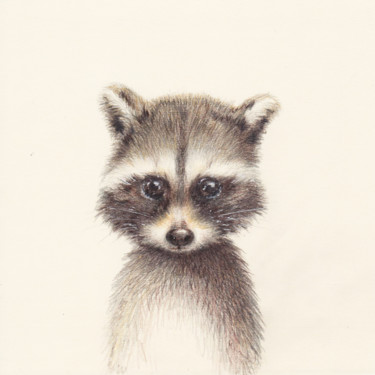 Рисунок под названием "05 Raccoon" - Olga Trifonova, Подлинное произведение искусства, Карандаш