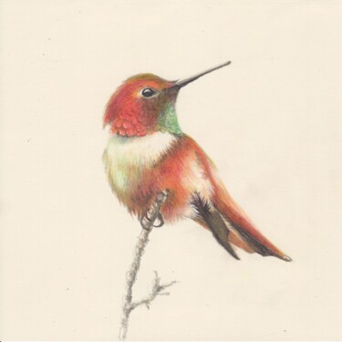 Рисунок под названием "019 Hummingbird" - Olga Trifonova, Подлинное произведение искусства, Карандаш