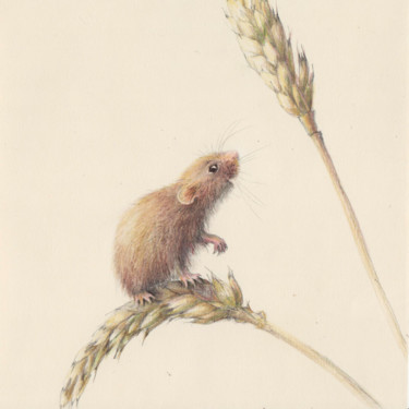 "005 Mouse" başlıklı Resim Olga Trifonova tarafından, Orijinal sanat, Kalem