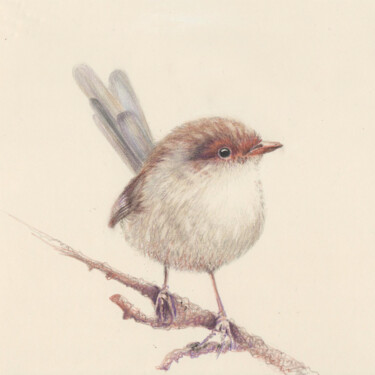 Rysunek zatytułowany „009 Bird” autorstwa Olga Trifonova, Oryginalna praca, Ołówek