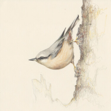 Drawing titled "10 Bird" by Olga Trifonova, Original Artwork, Pencil