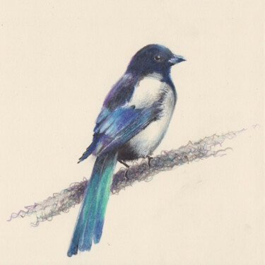 Dessin intitulée "08 Magpie" par Olga Trifonova, Œuvre d'art originale, Crayon