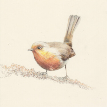 Dessin intitulée "049 Bird" par Olga Trifonova, Œuvre d'art originale, Crayon