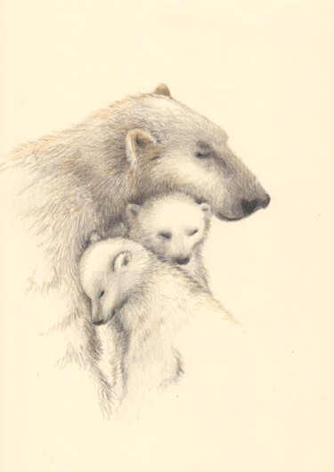 Desenho intitulada "061 the Bears" por Olga Trifonova, Obras de arte originais, Lápis