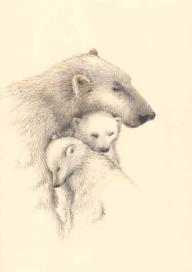 061 the Bears Рисунок под названием "061 the Bears" - Olga Trifonova, Подлинное произведение искусства, Карандаш