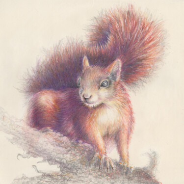 Zeichnungen mit dem Titel "012 Squirrel" von Olga Trifonova, Original-Kunstwerk, Bleistift