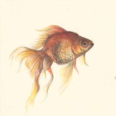 Drawing titled "058 Fish" by Olga Trifonova, Original Artwork, Pencil