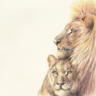 Tekening getiteld "034 Lions" door Olga Trifonova, Origineel Kunstwerk, Potlood