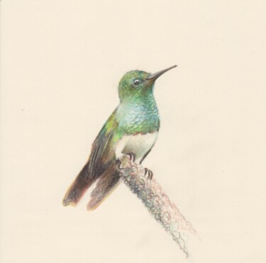 「062 Bird」というタイトルの描画 Olga Trifonovaによって, オリジナルのアートワーク, 鉛筆