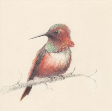 Drawing titled "069 The hummingbird" by Olga Trifonova, Original Artwork, Pencil