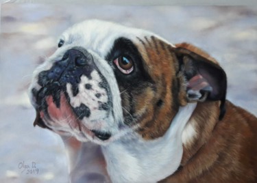 Pittura intitolato "Bulldog" da Olgad, Opera d'arte originale, Pastello