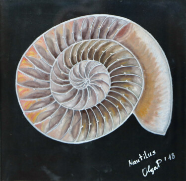 Dibujo titulada "Nautilus: the fossil" por Olga Petrova, Obra de arte original, Pastel
