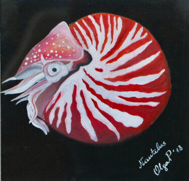 Dessin intitulée "Nautilus: the animal" par Olga Petrova, Œuvre d'art originale, Pastel