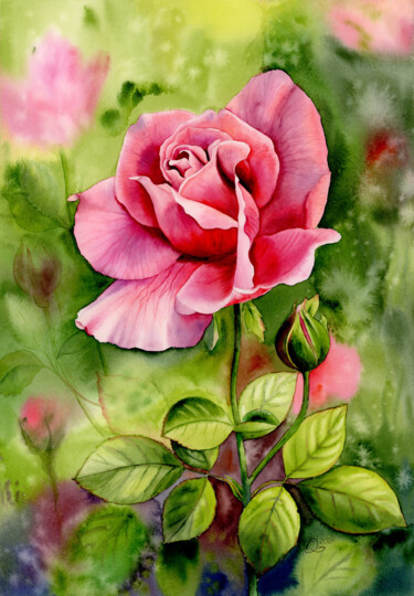 Картина под названием "Rose in the morning…" - Olha Korniienko, Подлинное произведение искусства, Акварель