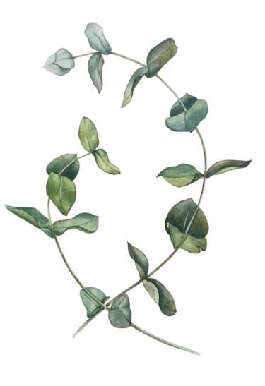 Pittura intitolato "Eucalyptus" da Olha Mosuzenko, Opera d'arte originale, Acquarello