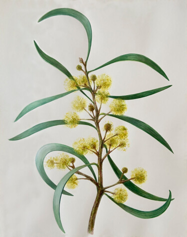 Картина под названием "Botanical ilustrati…" - Olha Protsenko, Подлинное произведение искусства, Акварель