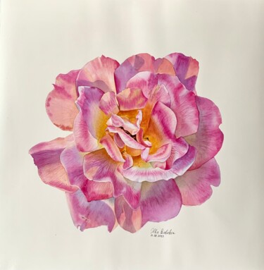 Painting titled "Rose in sunshine" by Olha Riabokon, Original Artwork, Watercolor