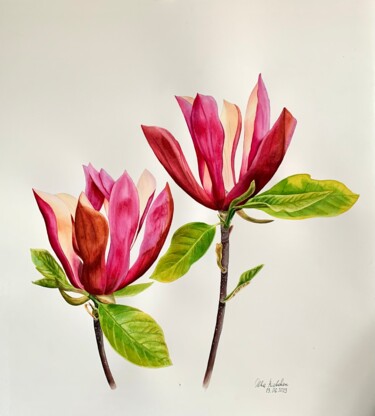 Painting titled "Magnolia’s" by Olha Riabokon, Original Artwork, Watercolor