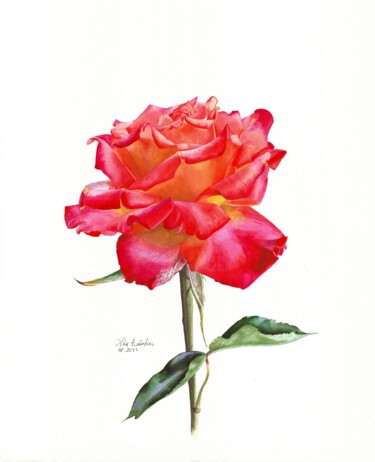 Peinture intitulée "Rose" par Olha Riabokon, Œuvre d'art originale, Aquarelle