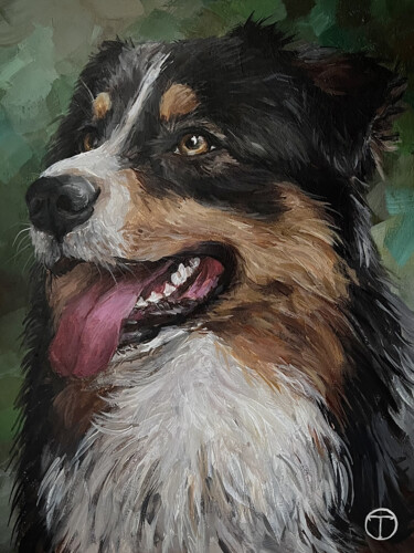 Painting titled "Australian Shepherd…" by Olia Tomkova, Original Artwork, Acrylic