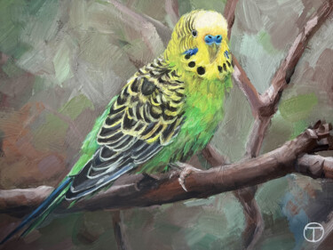 Pittura intitolato "Budgerigar 3" da Olia Tomkova, Opera d'arte originale, Acrilico