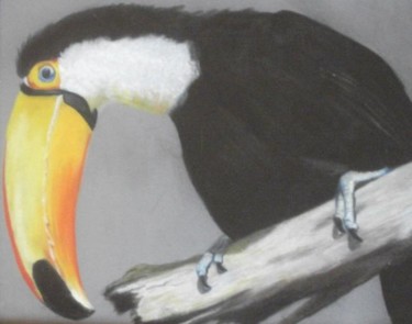 Painting titled "Toucan" by Olayinka Taylor-Lewis, Original Artwork