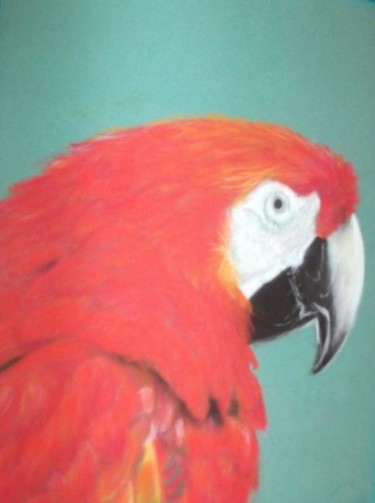 Painting titled "Red parrot" by Olayinka Taylor-Lewis, Original Artwork, Oil