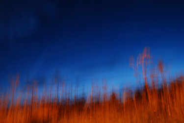 Photographie intitulée "nocturne 12.jpg" par Olive, Œuvre d'art originale, Photographie numérique