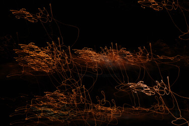 "nocturne 9.jpg" başlıklı Fotoğraf Olive tarafından, Orijinal sanat, Dijital Fotoğrafçılık