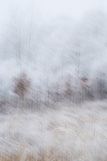 Photographie intitulée "Le vallon givré.jpg" par Olive, Œuvre d'art originale, Photographie numérique