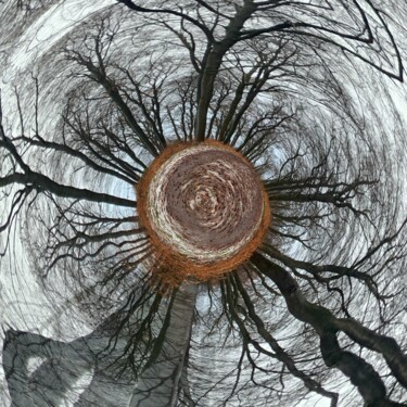 Digital Arts titled "Space-Baum" by Oliver Steiner, Original Artwork, Digital Photography