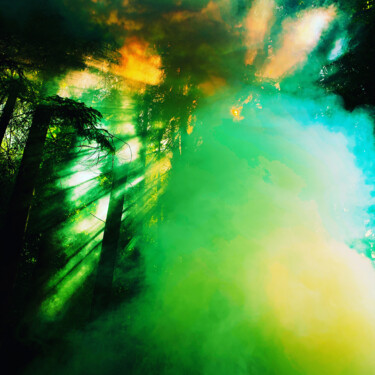 Цифровое искусство под названием "Nebel im Wald" - Oliver Steiner, Подлинное произведение искусства, Цифровая фотография