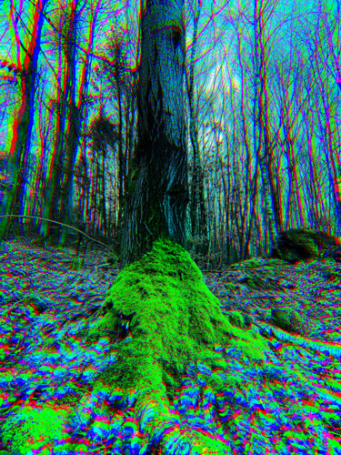 Digitale Kunst getiteld "Pop-Art im Wald" door Oliver Steiner, Origineel Kunstwerk, Digitaal Schilderwerk