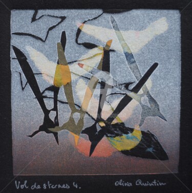 Druckgrafik mit dem Titel "Vol de sternes 4" von Olivia Quintin, Original-Kunstwerk, Gravur