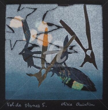Impressões e gravuras intitulada "Vol de sternes 5" por Olivia Quintin, Obras de arte originais, Gravação