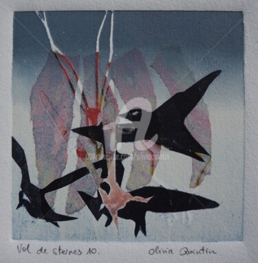 Estampas & grabados titulada "Vol de sternes 10" por Olivia Quintin, Obra de arte original, Grabado