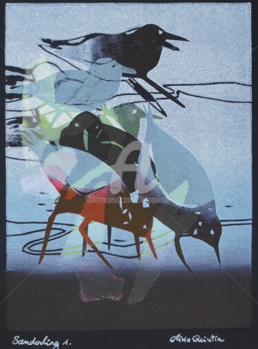 Gravures & estampes intitulée "Sanderling 1" par Olivia Quintin, Œuvre d'art originale, Gravure