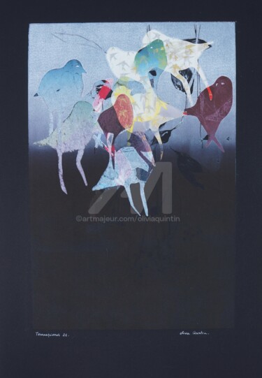 Tournepierres 26 Gravures & estampes intitulée "Tournepierres 26" par Olivia Quintin, Œuvre d'art originale, Gravure