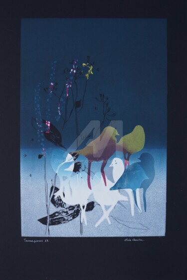 Tournepierres 27 Gravures & estampes intitulée "Tournepierres 27" par Olivia Quintin, Œuvre d'art originale, Gravure