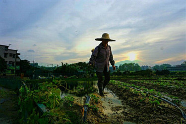 Photography titled "Strawberry land in…" by Olivier Barbaud, Original Artwork, Digital Photography