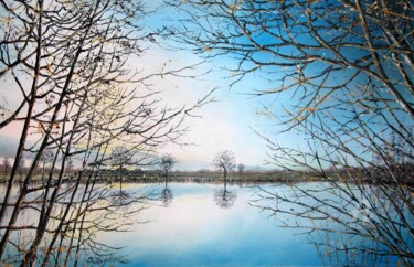 Peinture intitulée "l'étang" par Olivier Dazelle, Œuvre d'art originale, Huile