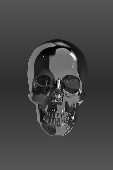 Arts numériques intitulée "skull" par Olivier Glon, Œuvre d'art originale, Modélisation 3D