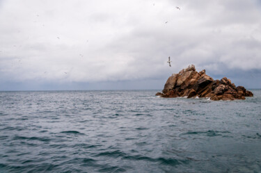 Photography titled "Côte Bretonne" by Olivier Gros, Original Artwork, Non Manipulated Photography